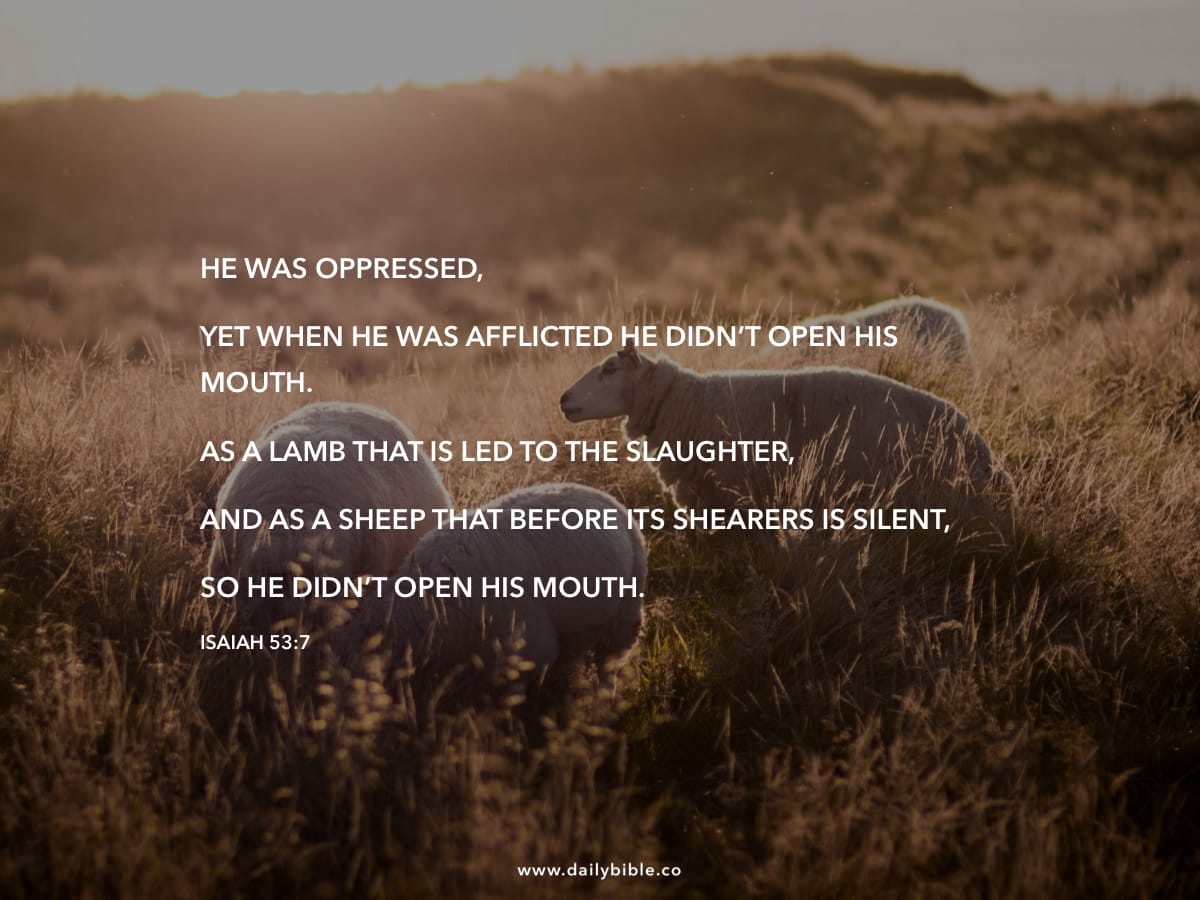 Isaiah 537 Daily Bible Inspirations