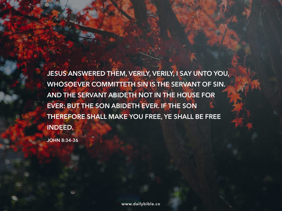 John 8 34 36 Daily Bible Inspirations a-purple-flower-with-a-bible-verse-on-it