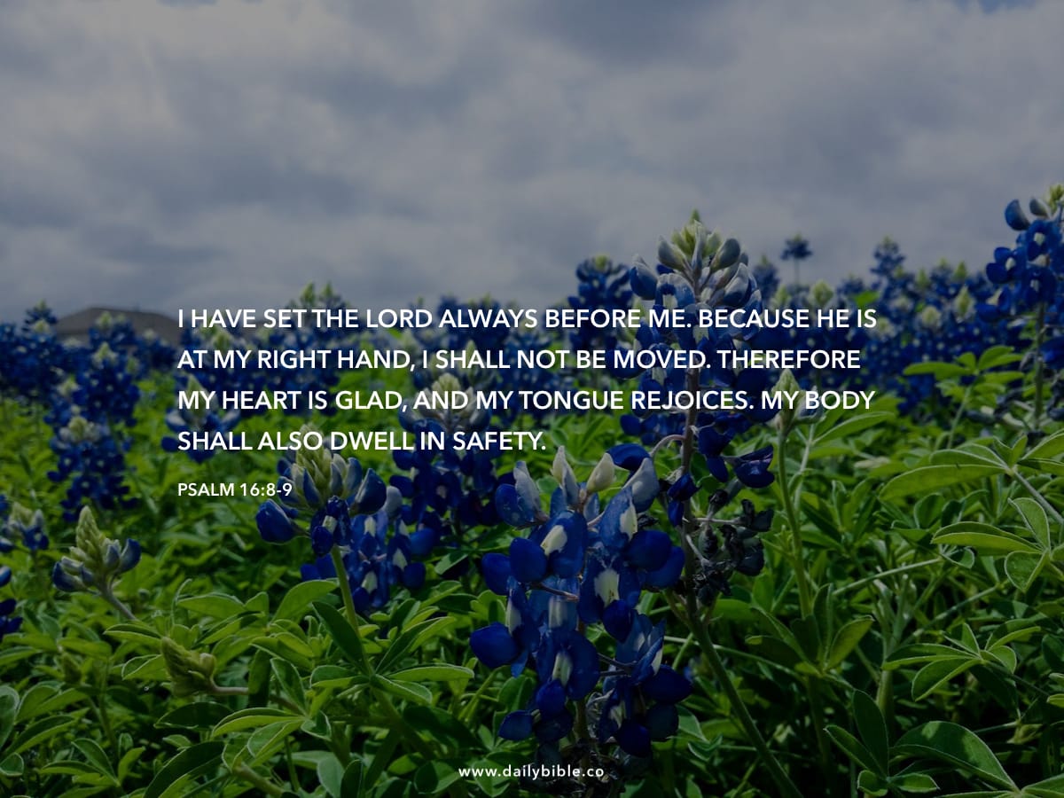 psalm-16-8-9-daily-bible-inspirations