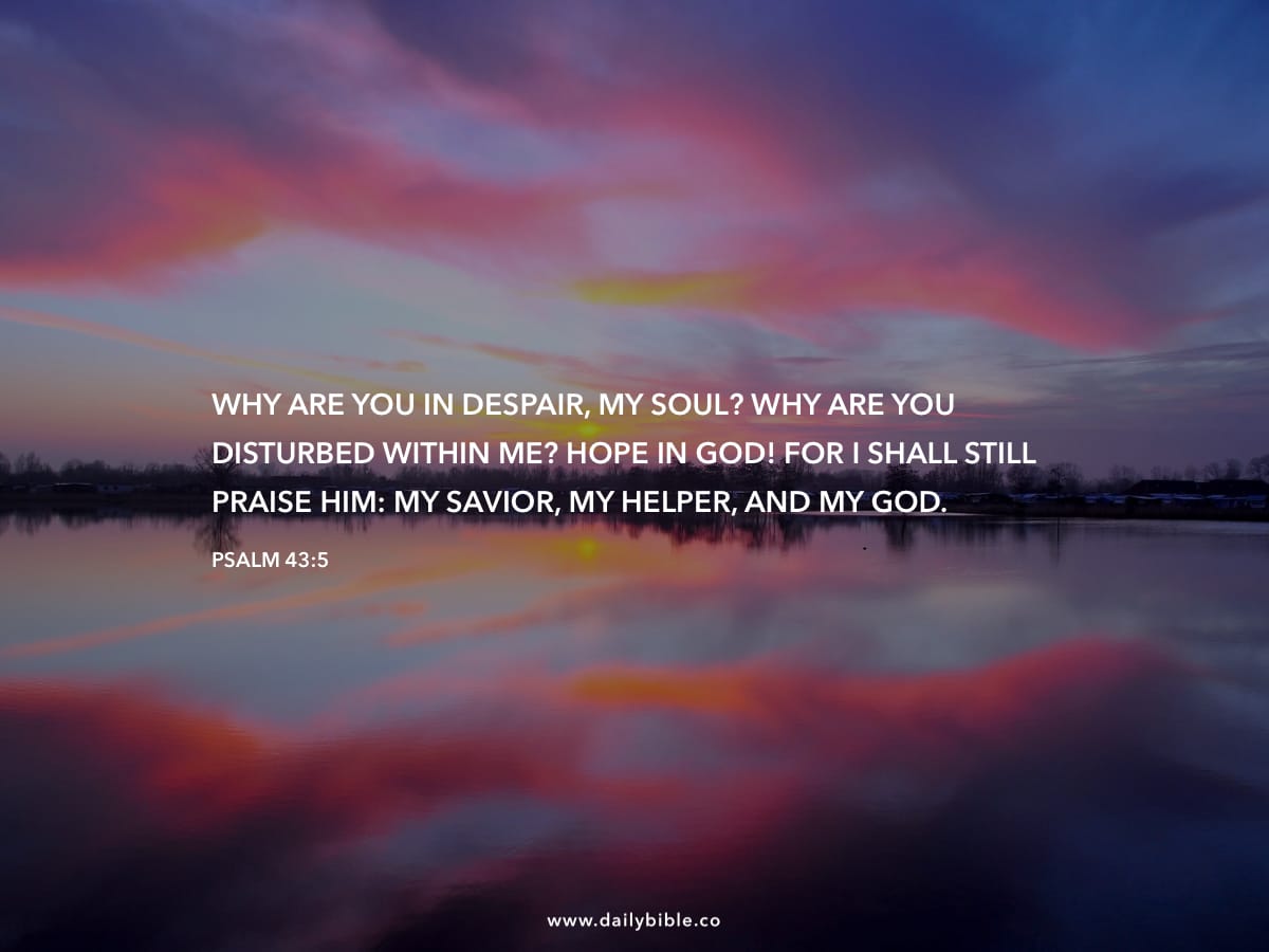 Psalm 43 5 Daily Bible Inspirations psalm-43-5-daily-bible-inspirations