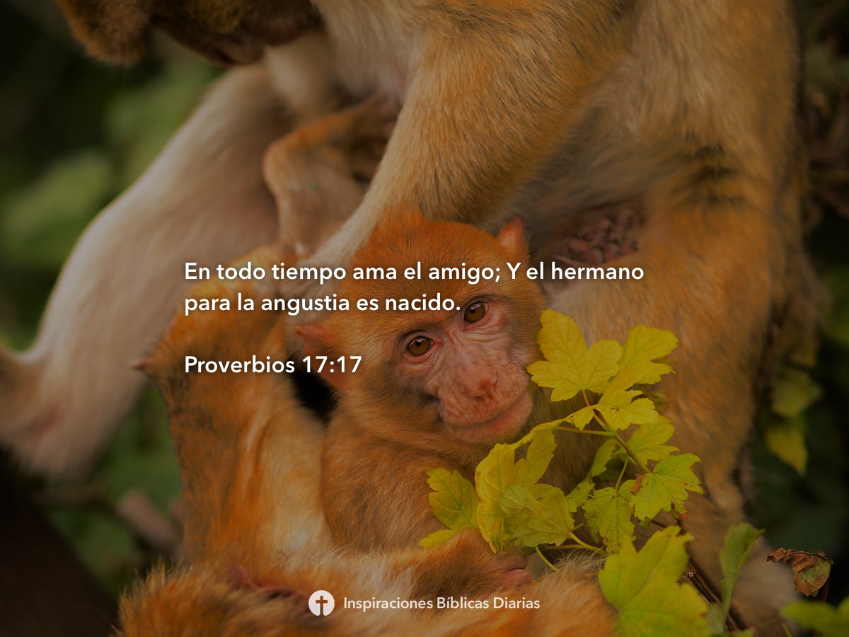 Proverbios Inspiraciones B Blicas Diarias