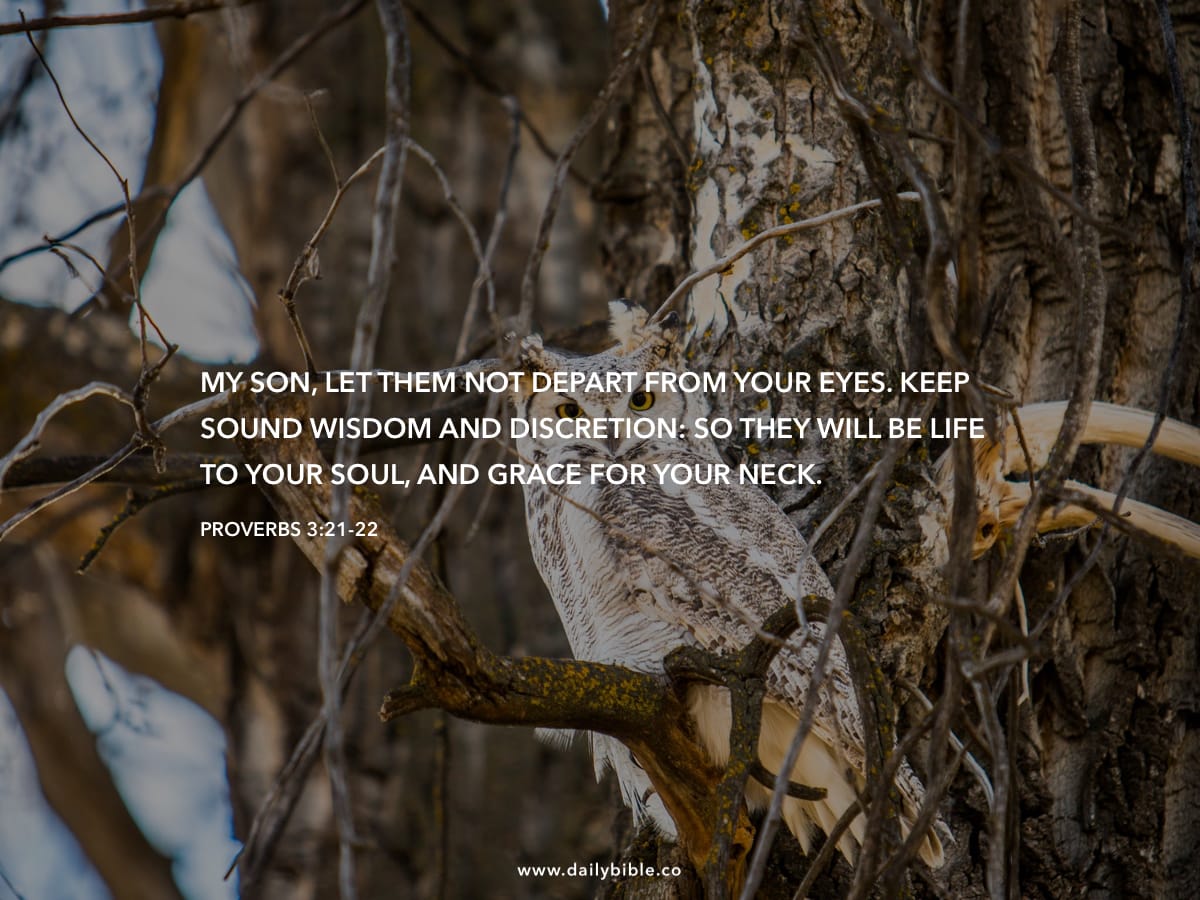 Proverbs 3 21 22 Daily Bible Inspirations proverbs-3-21-22-daily-bible-inspirations