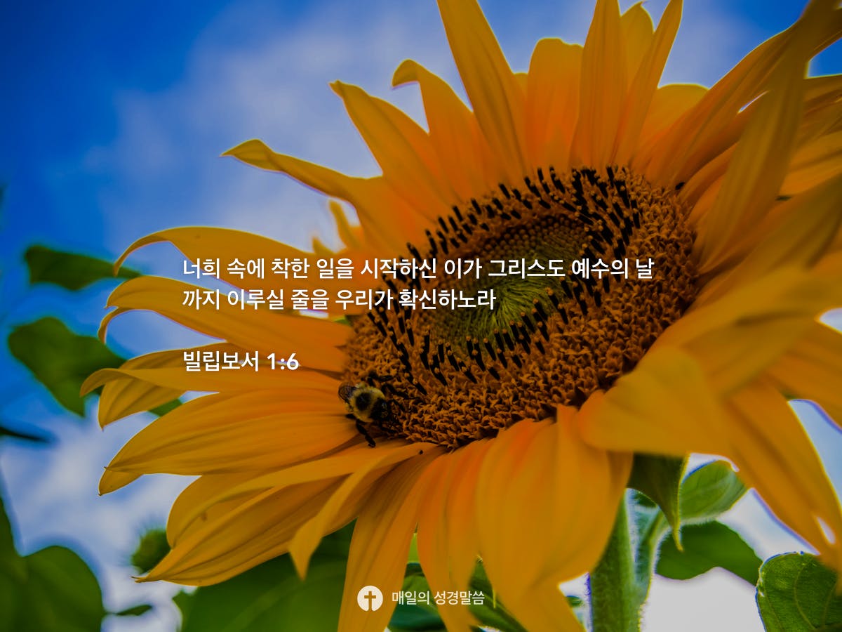 빌립보서 1 6 Daily Bible Inspirations