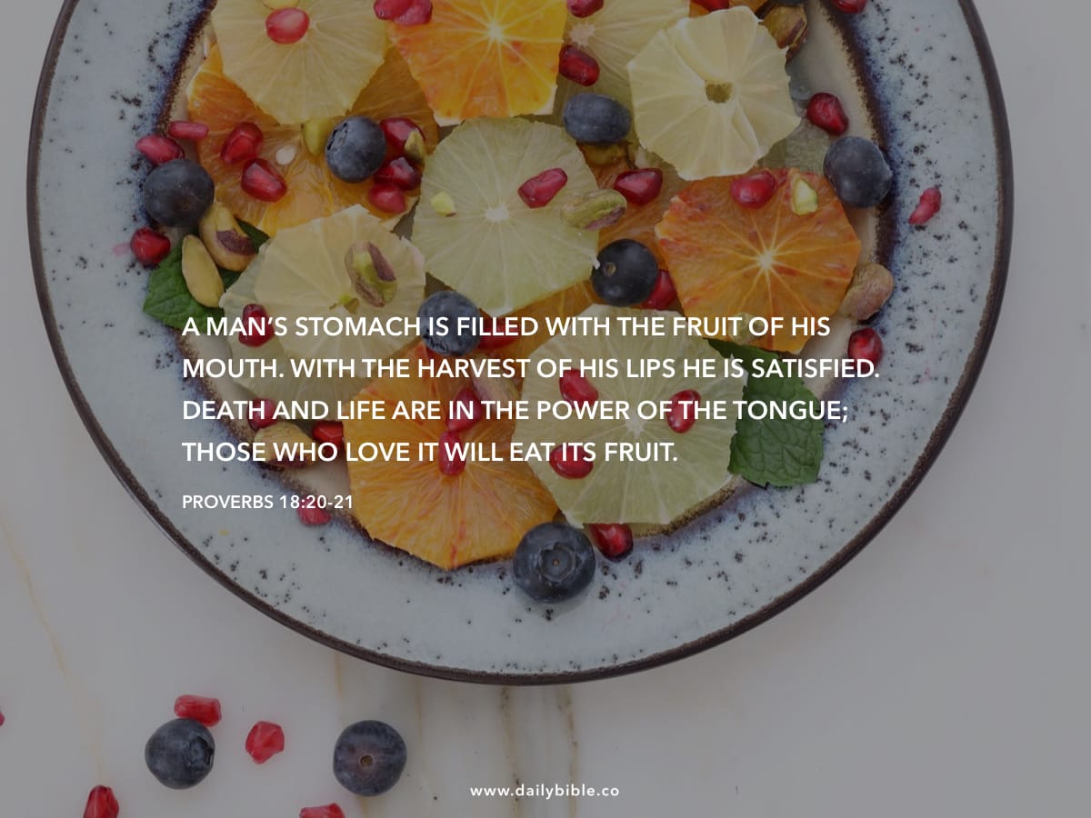 Proverbs 18 20 21 Daily Bible Inspirations proverbs-18-20-21-daily-bible-inspirations