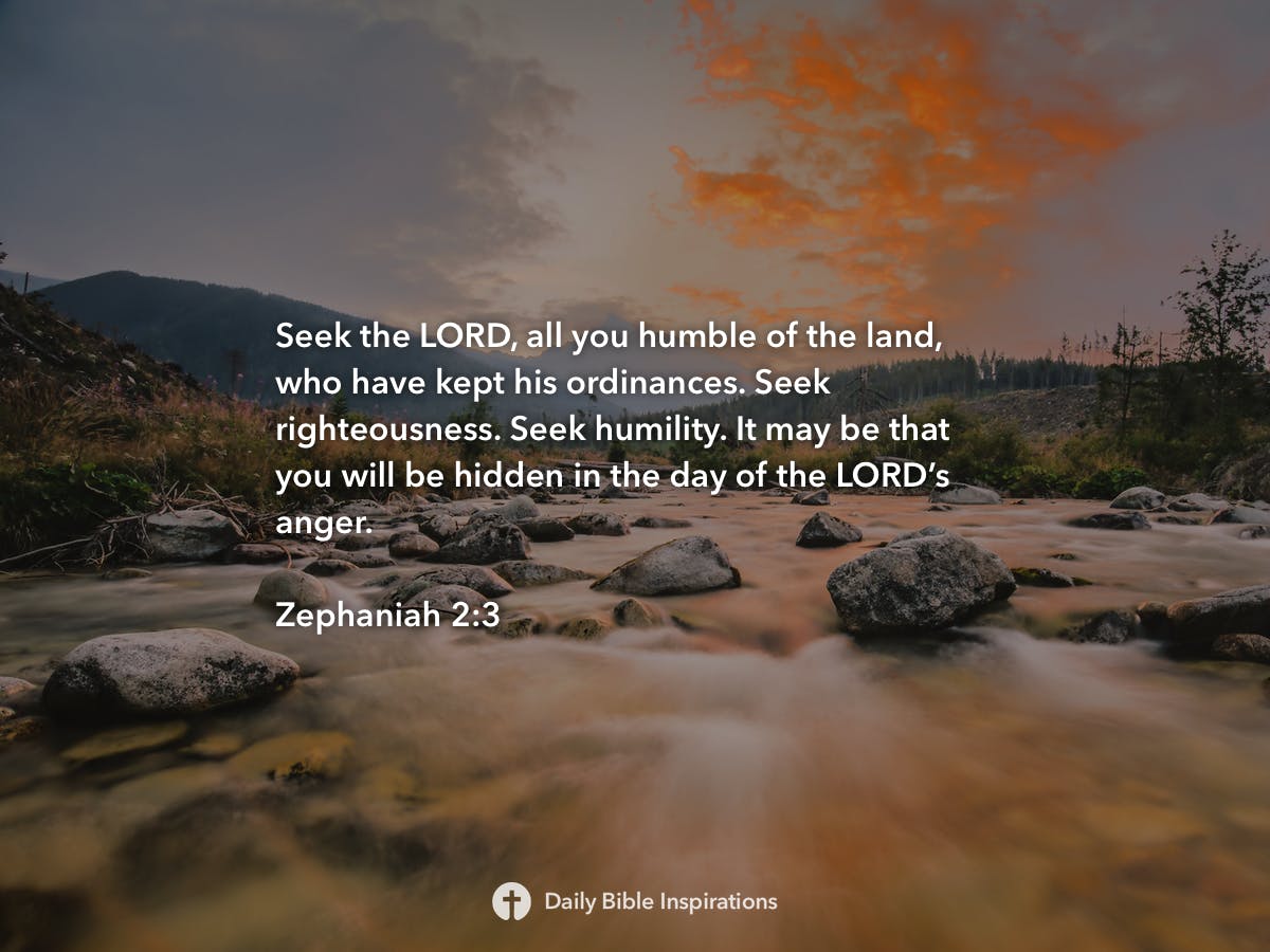 Zephaniah 2 3 Daily Bible Inspirations