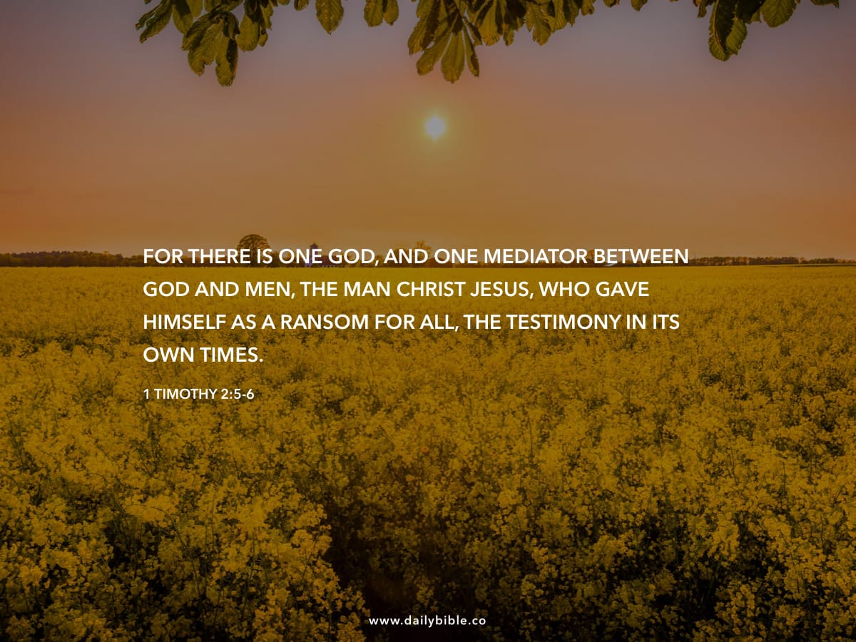 1 Timothy 2:5-6 - Daily Bible Inspirations