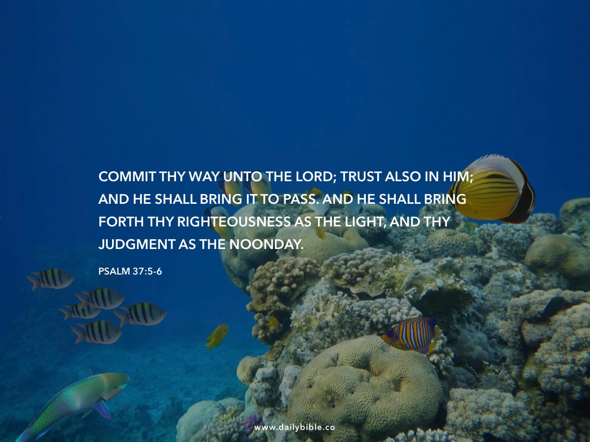 Psalm 37 5 6 Daily Bible Inspirations psalm-37-5-6-daily-bible-inspirations