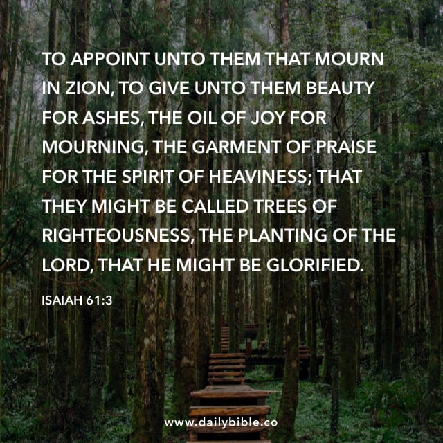 Image result for Beauty for ashes kjv