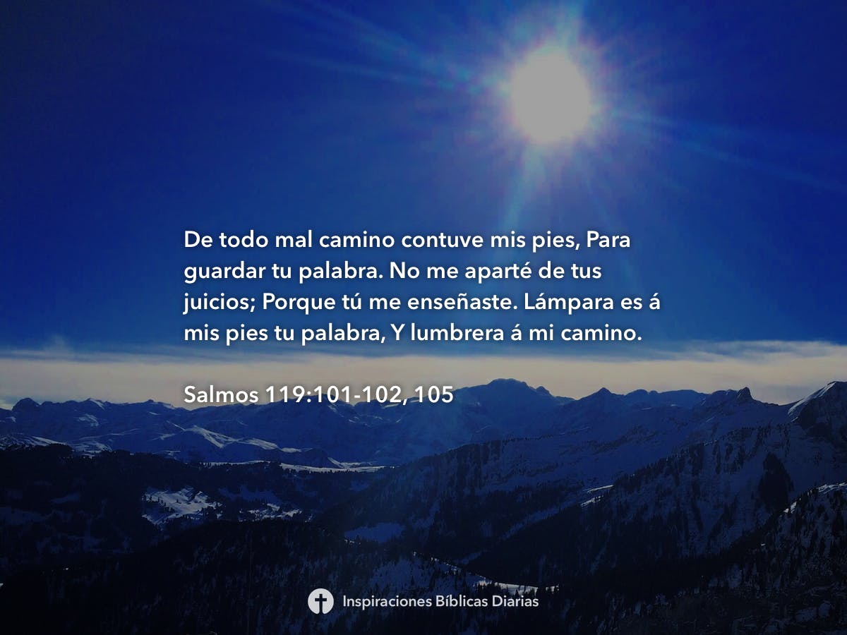 Salmos Inspiraciones B Blicas Diarias