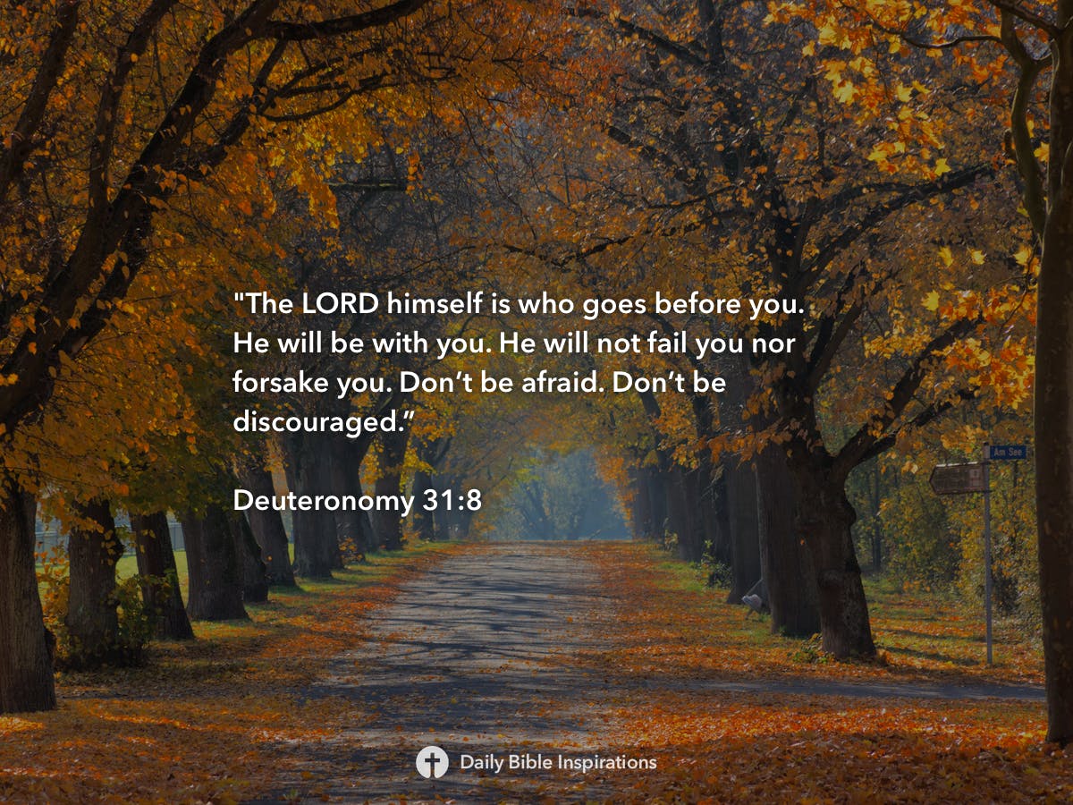 Deuteronomy 31 8 Daily Bible Inspirations