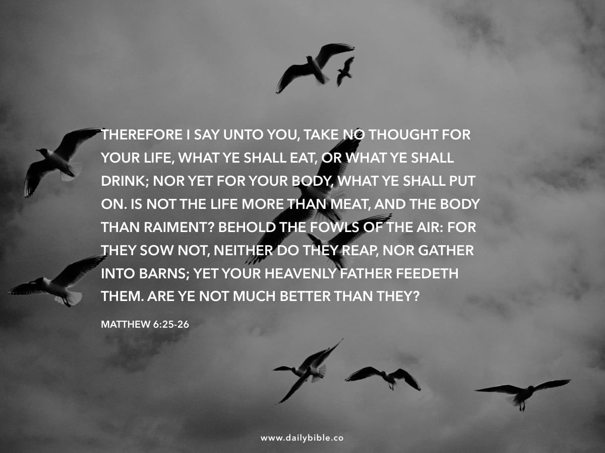 matthew-6-25-26-daily-bible-inspirations