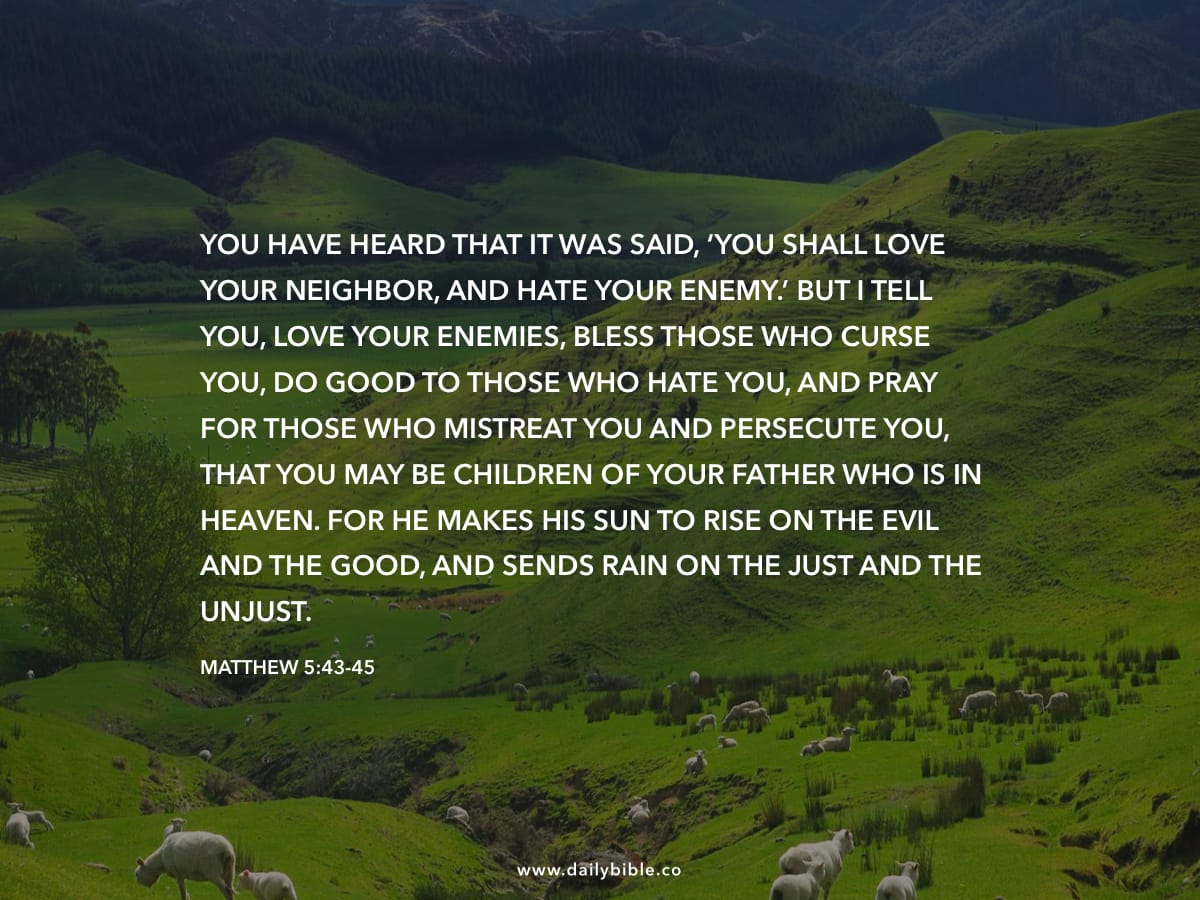 matthew-5-43-45-daily-bible-inspirations