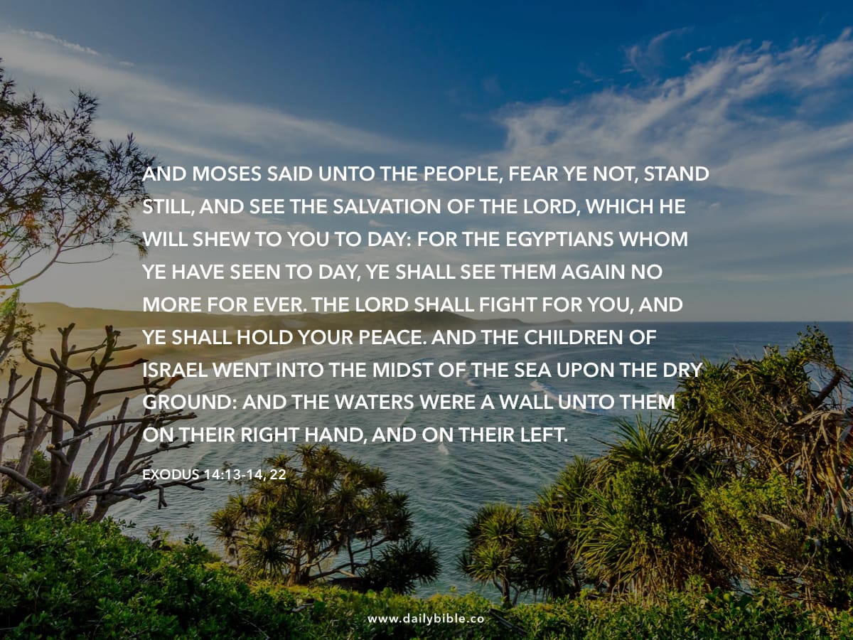 exodus-14-13-14-22-daily-bible-inspirations