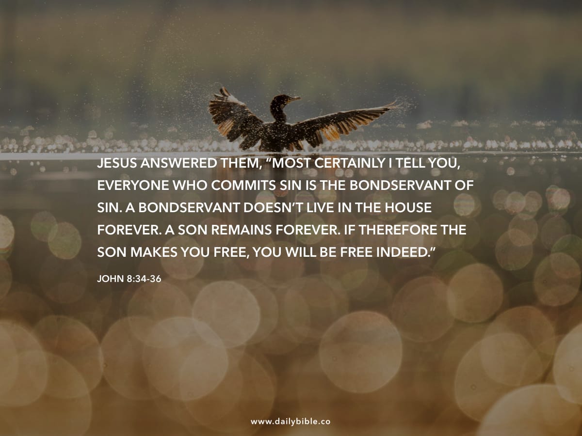 John 8 34 36 Daily Bible Inspirations john-8-34-36-daily-bible-inspirations