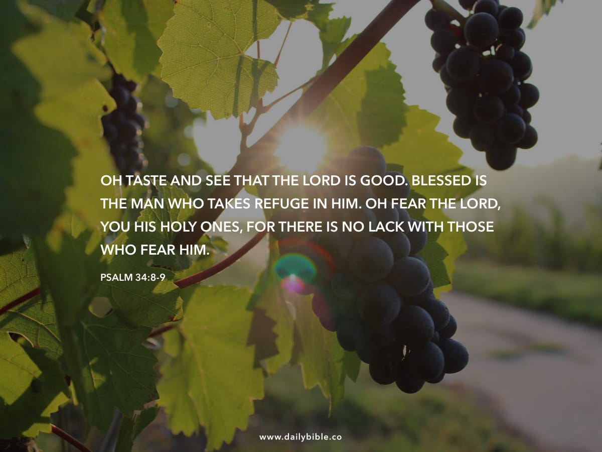 Psalm 34 8 9 Daily Bible Inspirations