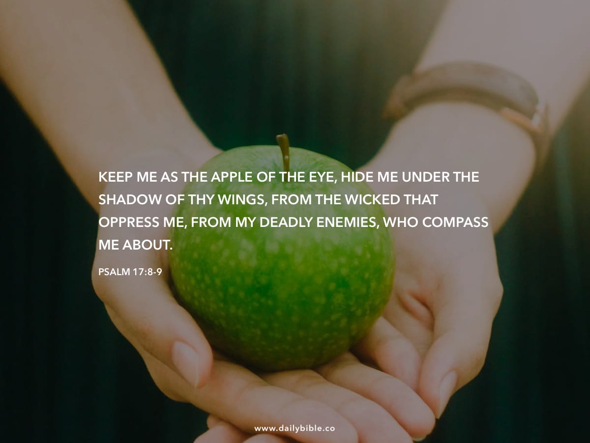 psalm-17-8-9-daily-bible-inspirations