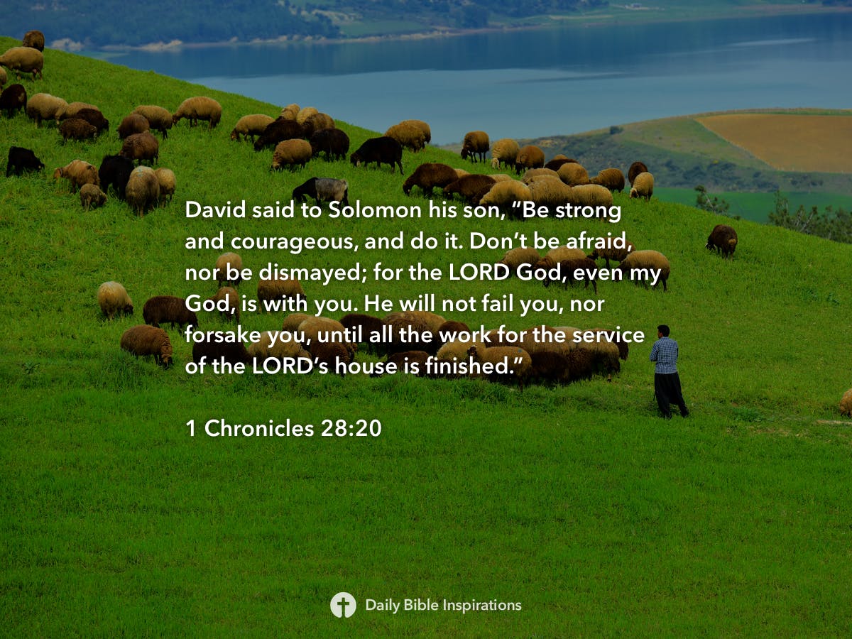 Chronicles Daily Bible Inspirations