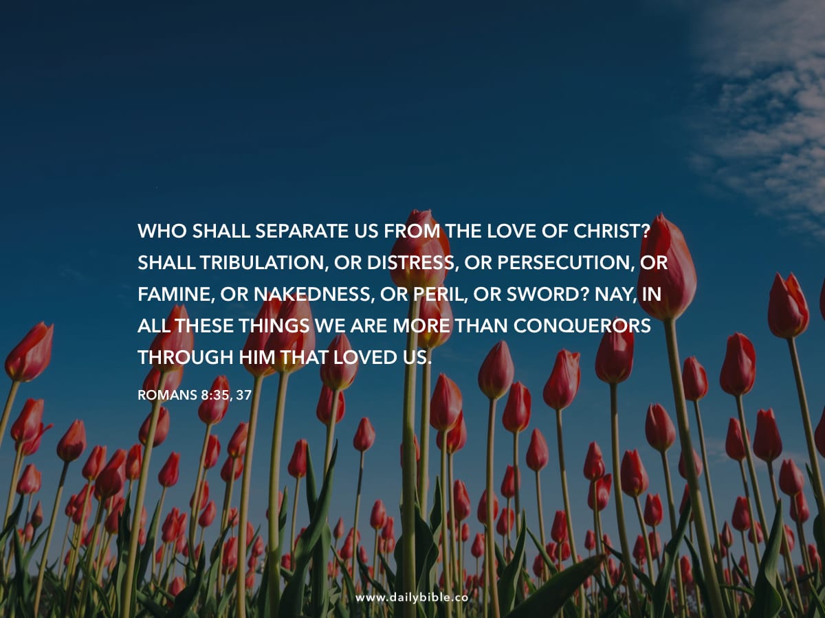 romans-8-35-37-daily-bible-inspirations