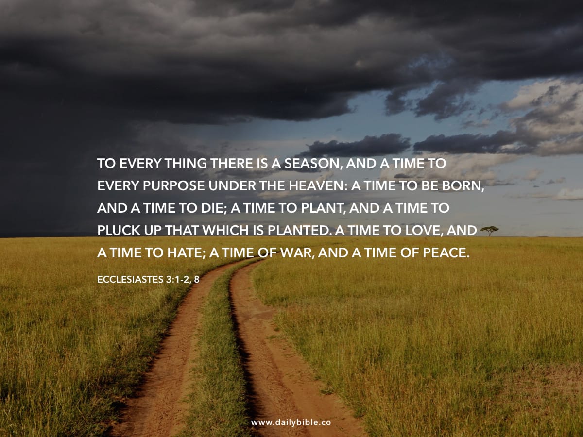 ecclesiastes-3-1-2-8-daily-bible-inspirations