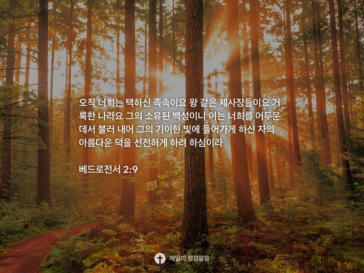 베드로전서 2 9 Daily Bible Inspirations