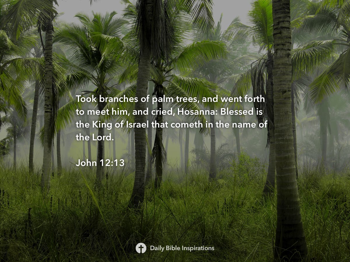 John 12:13 - Daily Bible Inspirations