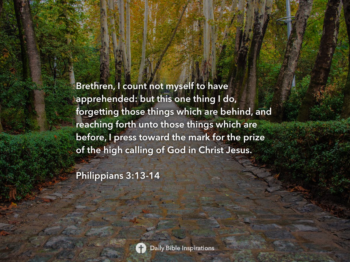 Philippians 3:13-14 | Daily Bible Inspirations