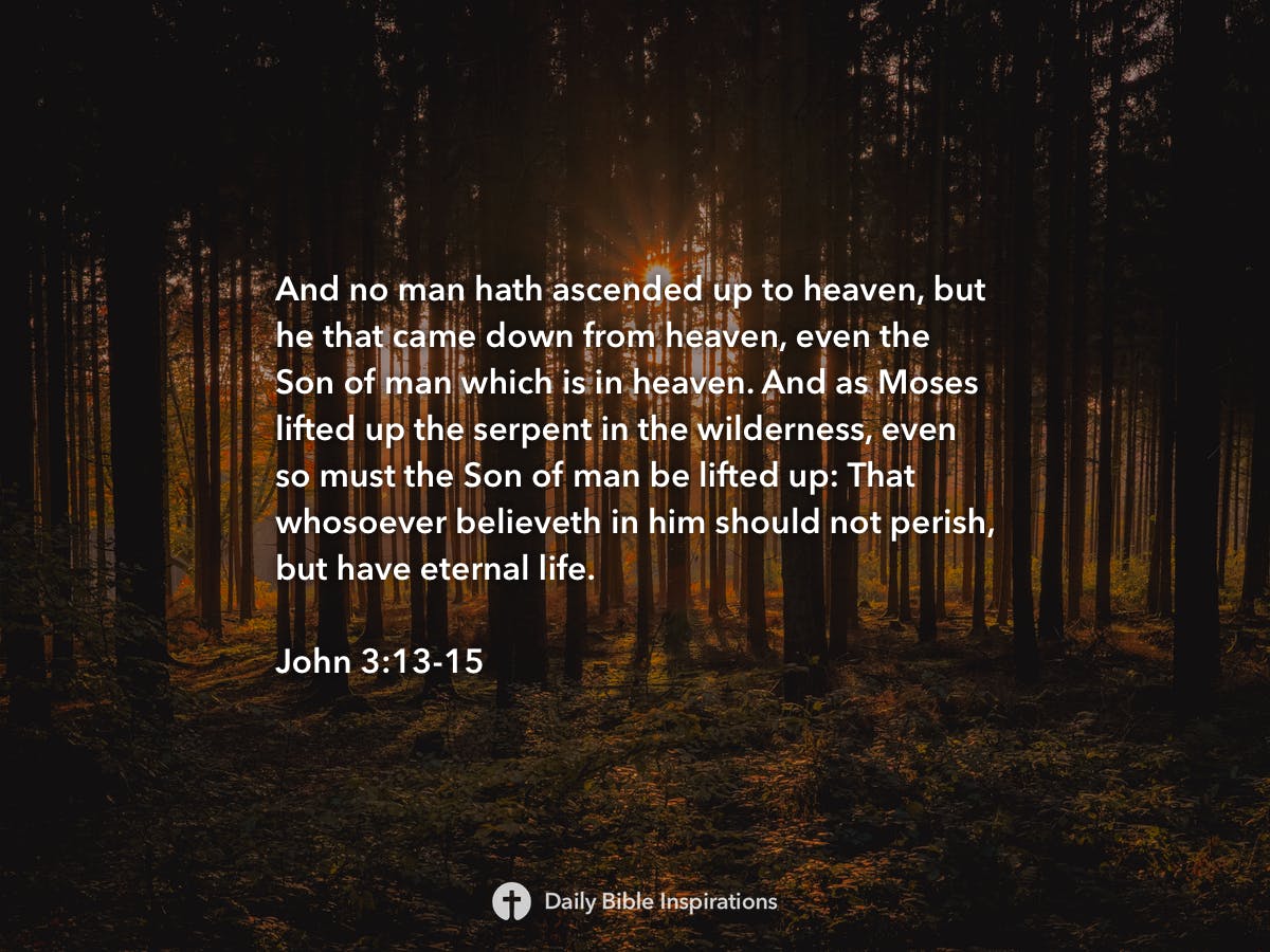 john-3-13-15-daily-bible-inspirations