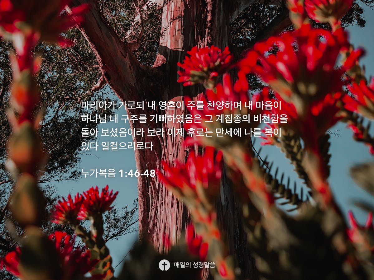 누가복음 1:46-48 - Bible Inspirations