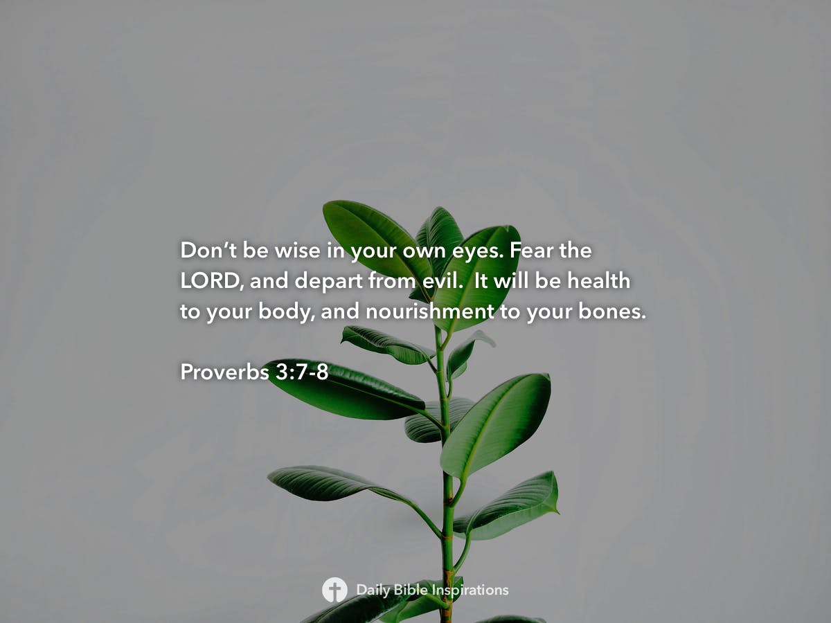 proverbs-3-7-8-daily-bible-inspirations