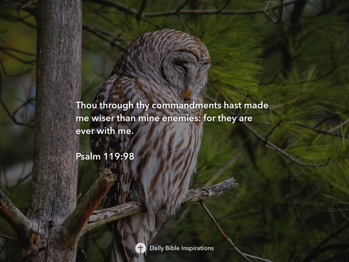 psalm-119-98-daily-bible-inspirations