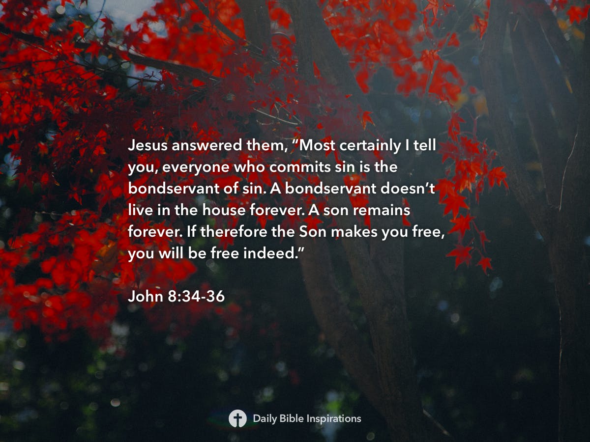 john-8-34-36-daily-bible-inspirations