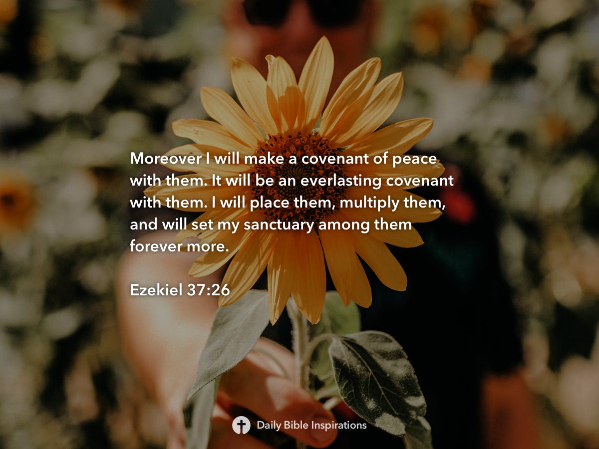 ezekiel-37-26-daily-bible-inspirations