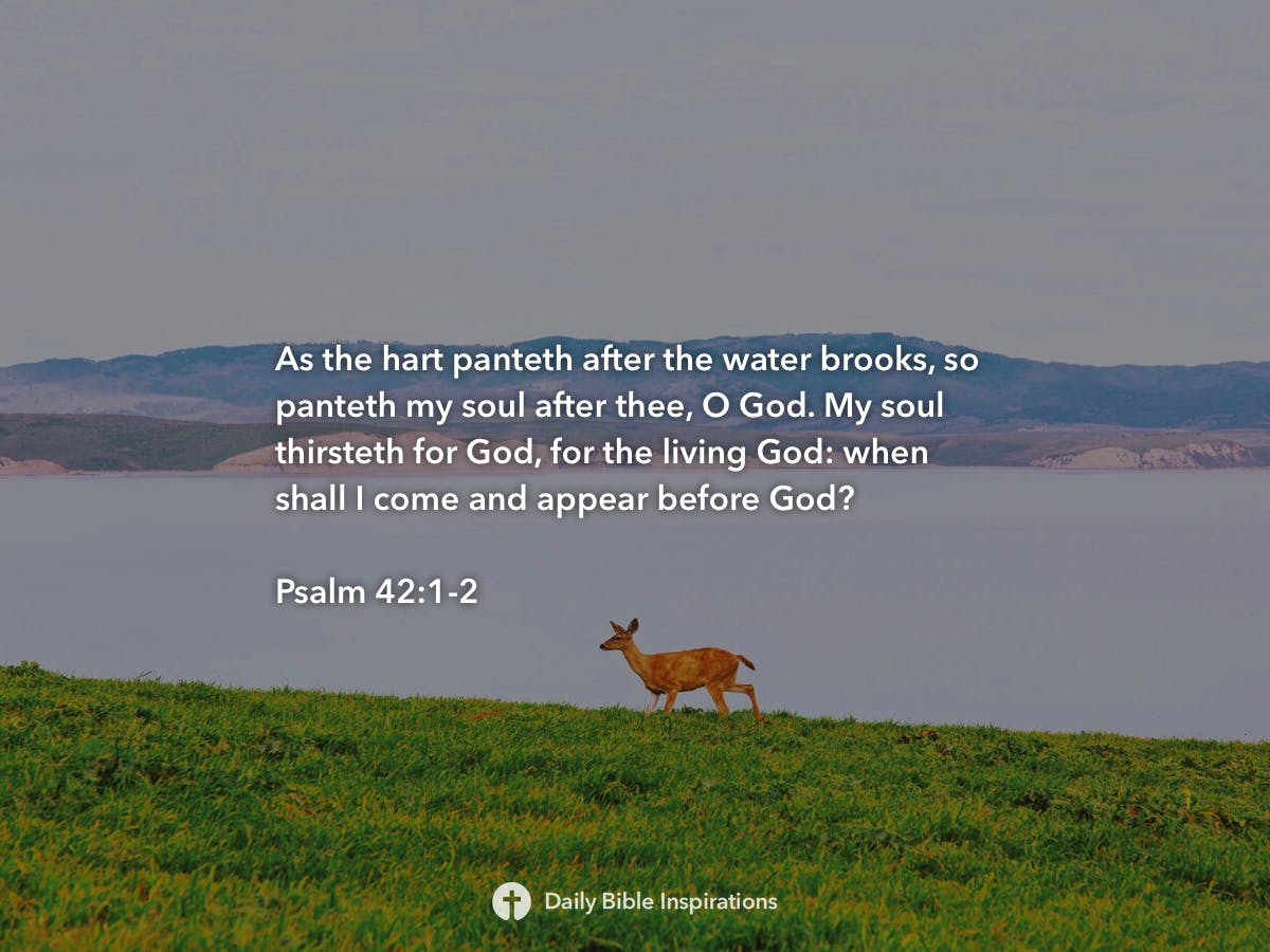 psalm-42-1-2-daily-bible-inspirations