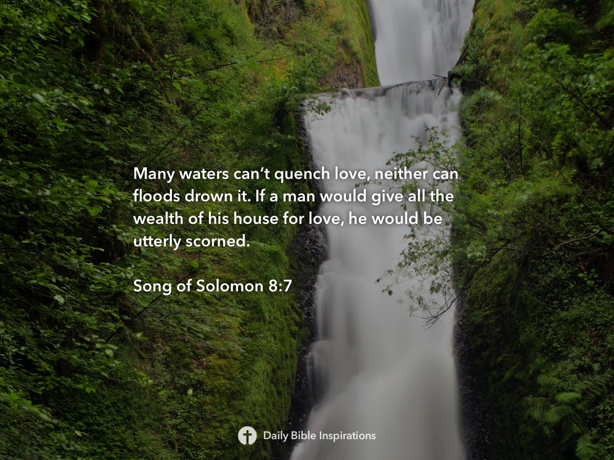 Song Of Solomon 87 Daily Bible Inspirations