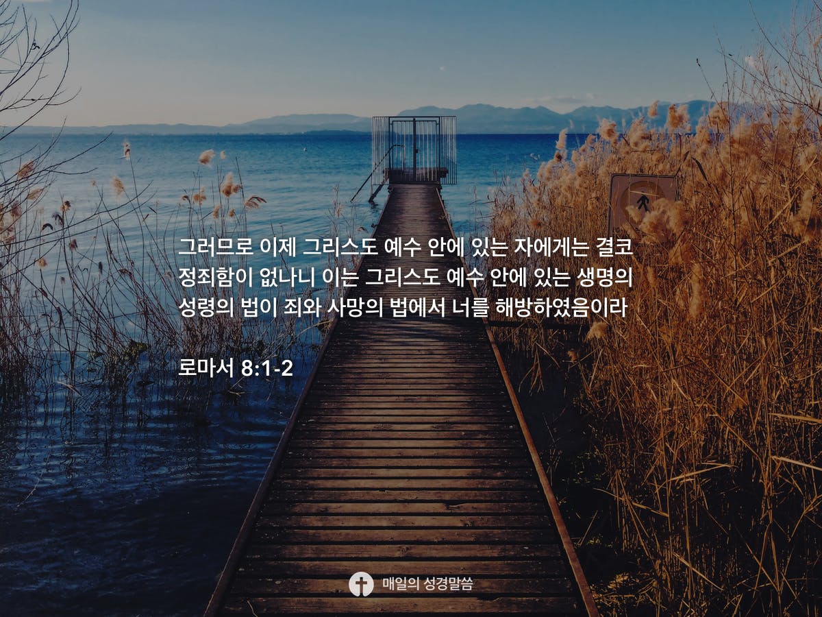 소스 이미지 보기