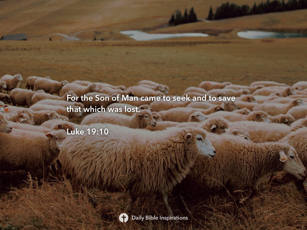luke-19-10-daily-bible-inspirations
