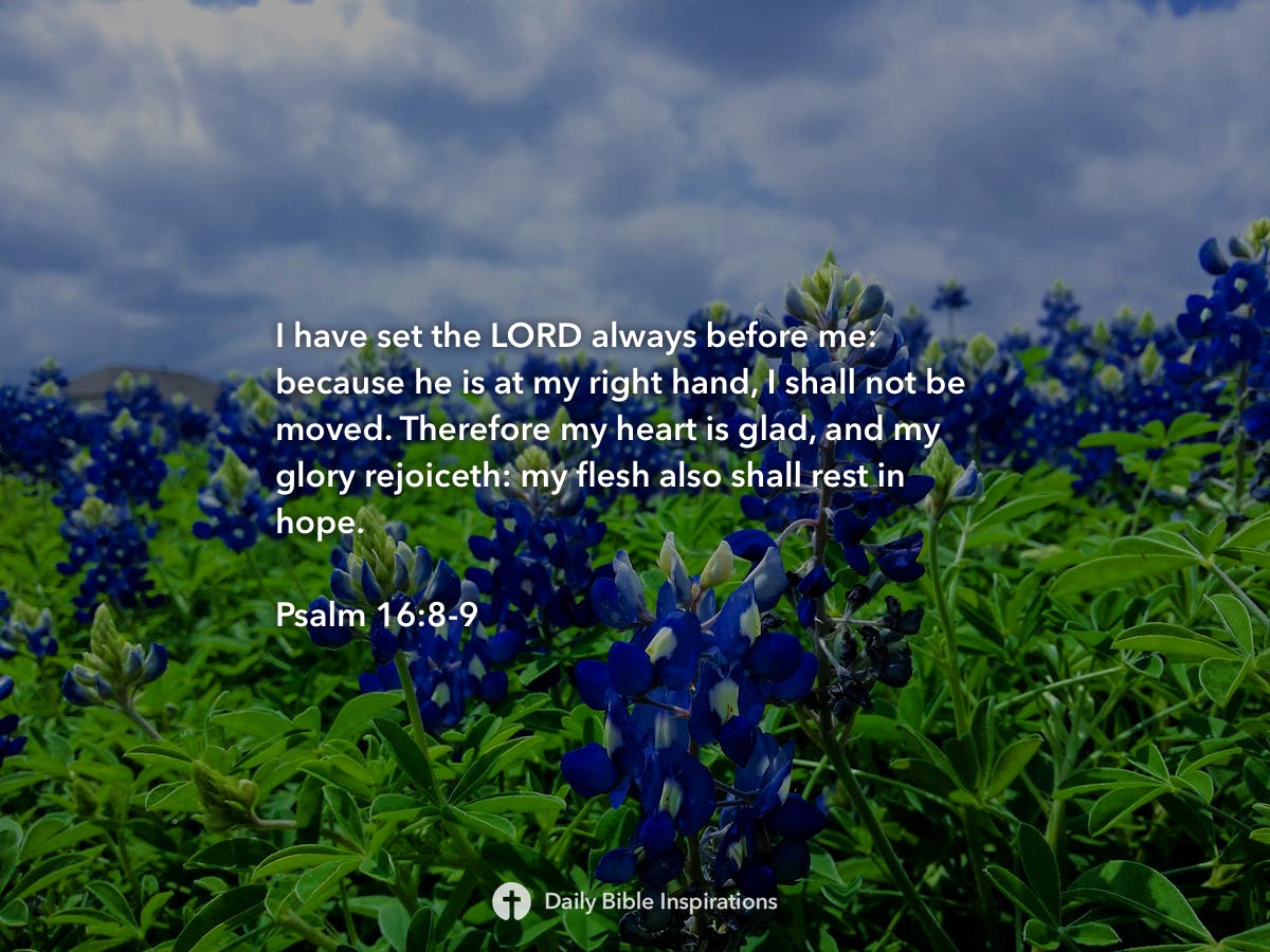 psalm-16-8-9-daily-bible-inspirations