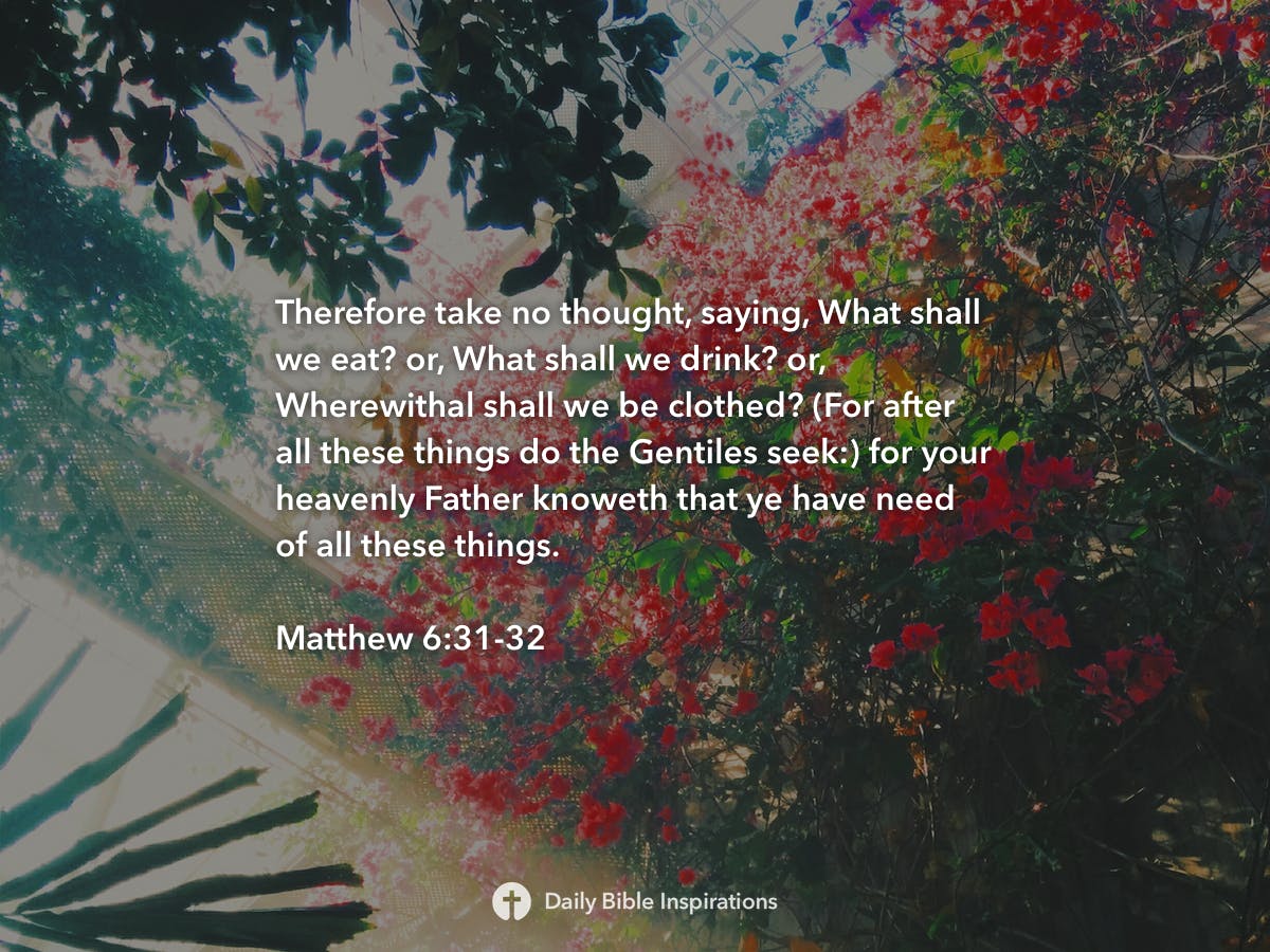 matthew-6-31-32-daily-bible-inspirations