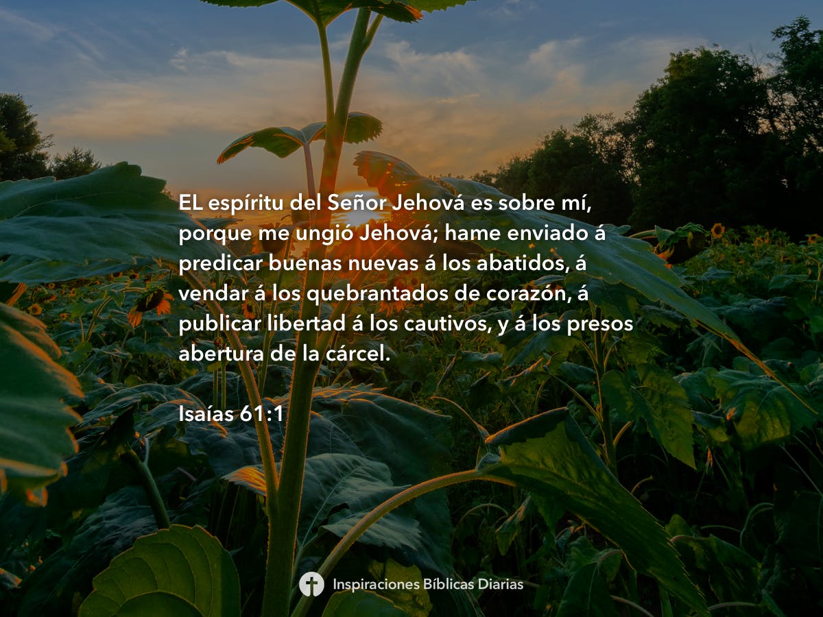 isa-as-61-1-inspiraciones-b-blicas-diarias
