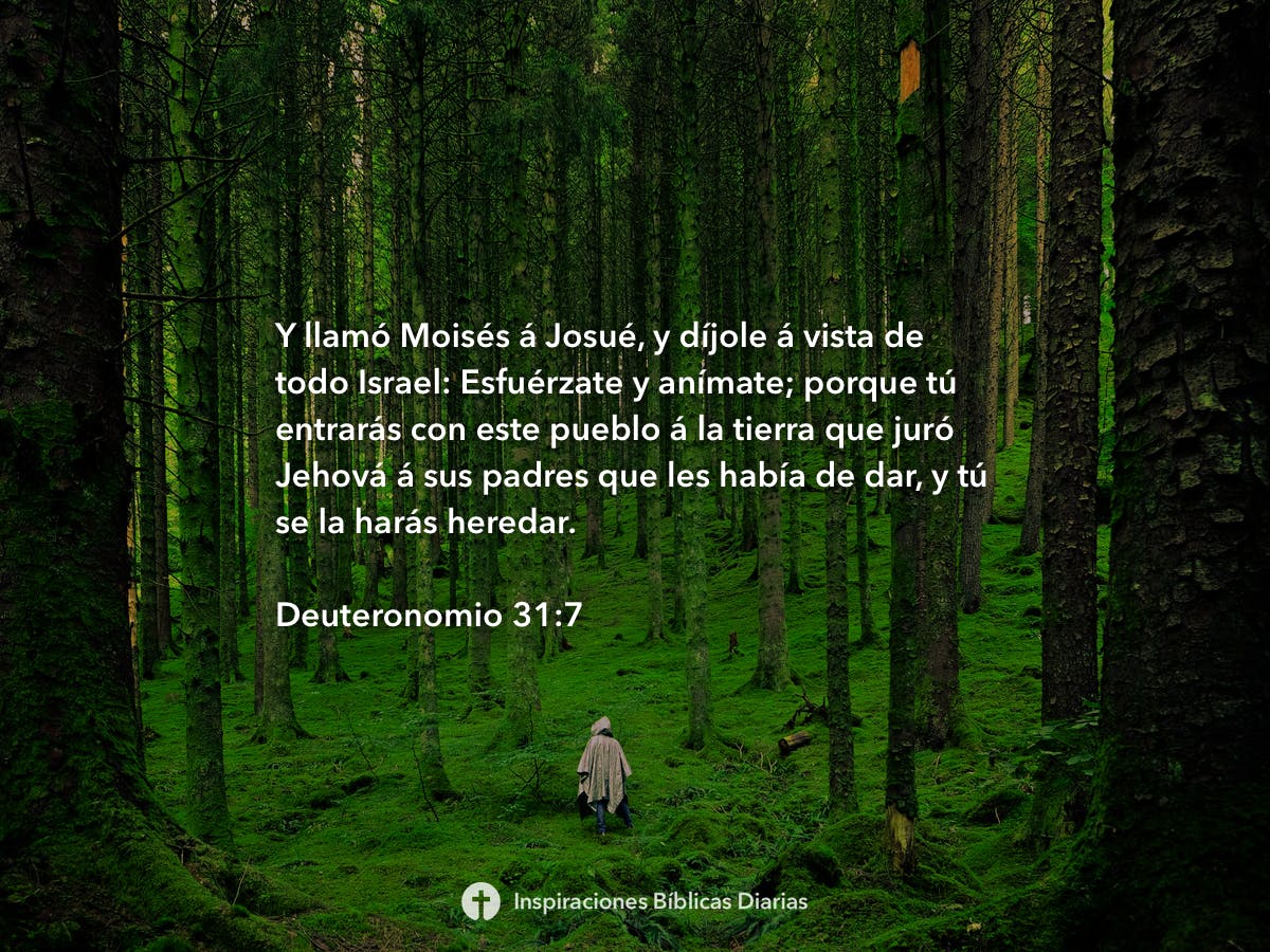 Deuteronomio 31:7 - Inspiraciones Bíblicas Diarias