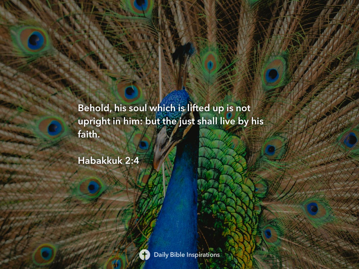 habakkuk-2-4-daily-bible-inspirations