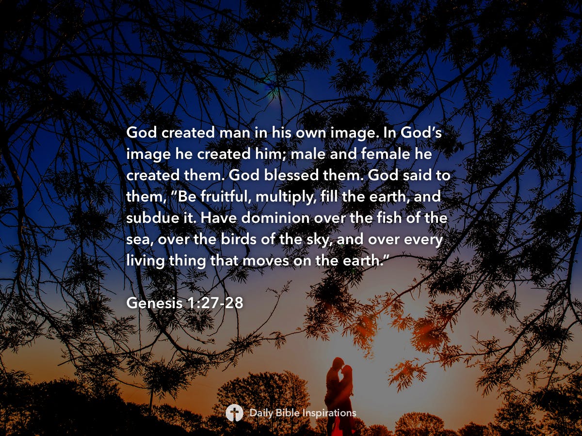 Genesis 12728 Daily Bible Inspirations