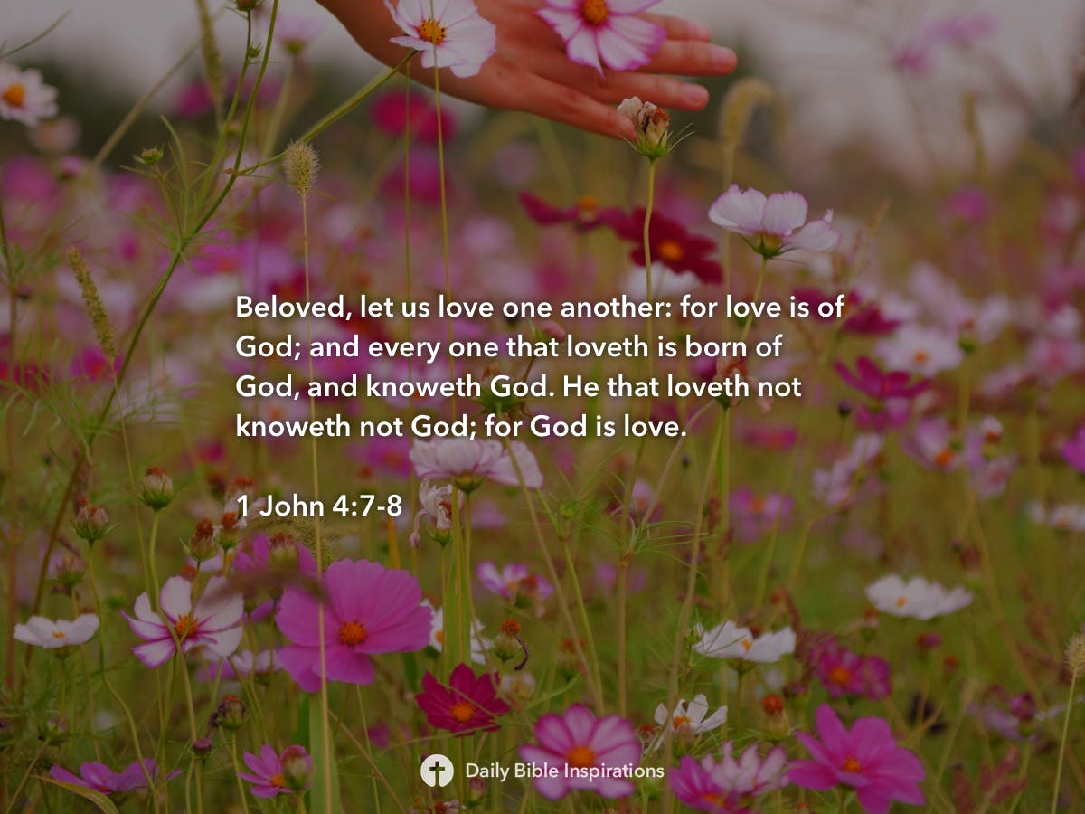 1-john-4-7-8-daily-bible-inspirations