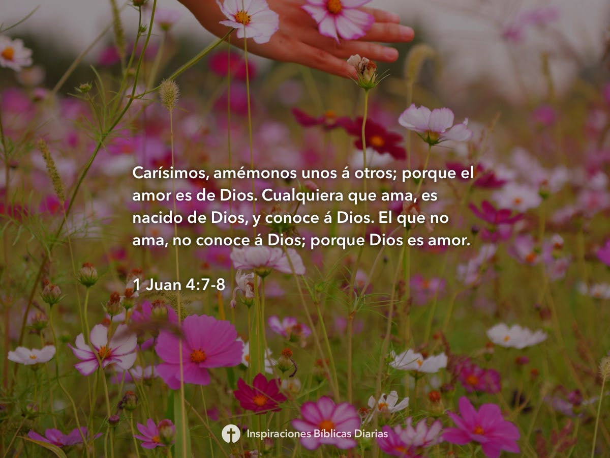 1 Juan 478 Inspiraciones Bíblicas Diarias