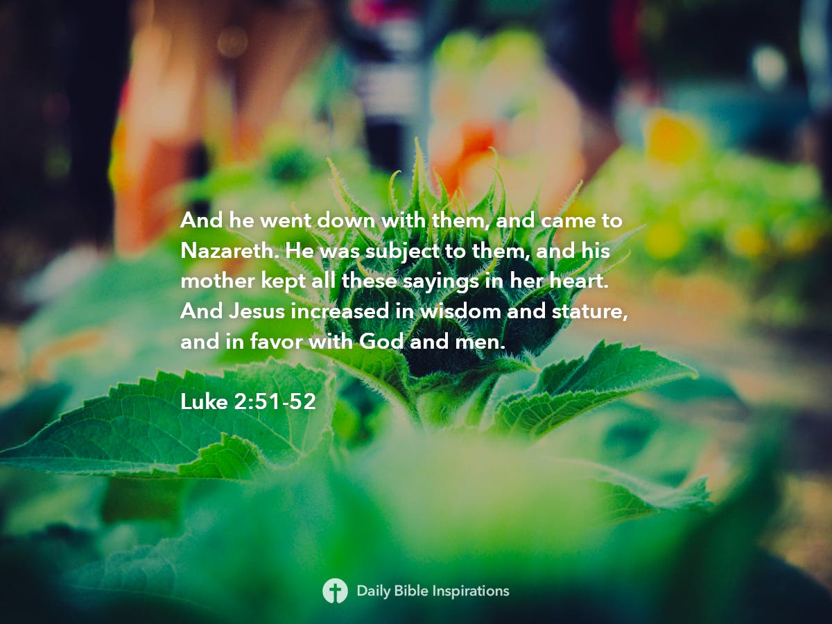Luke 2:51-52 - Bible Inspirations