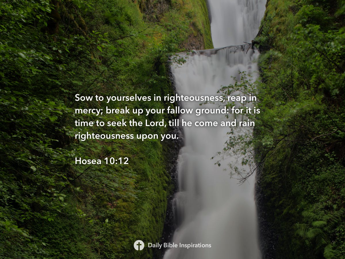 Hosea 1012 Daily Bible Inspirations