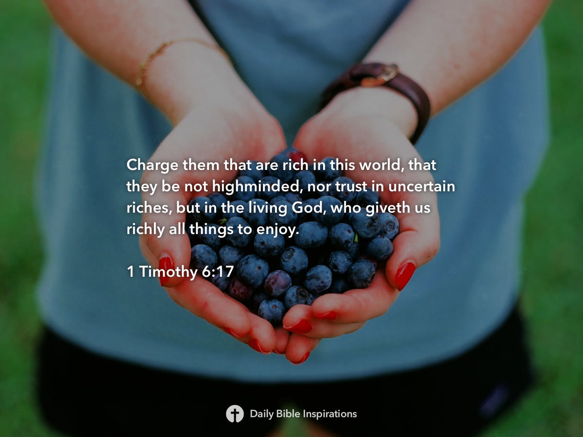 1-timothy-6-17-daily-bible-inspirations
