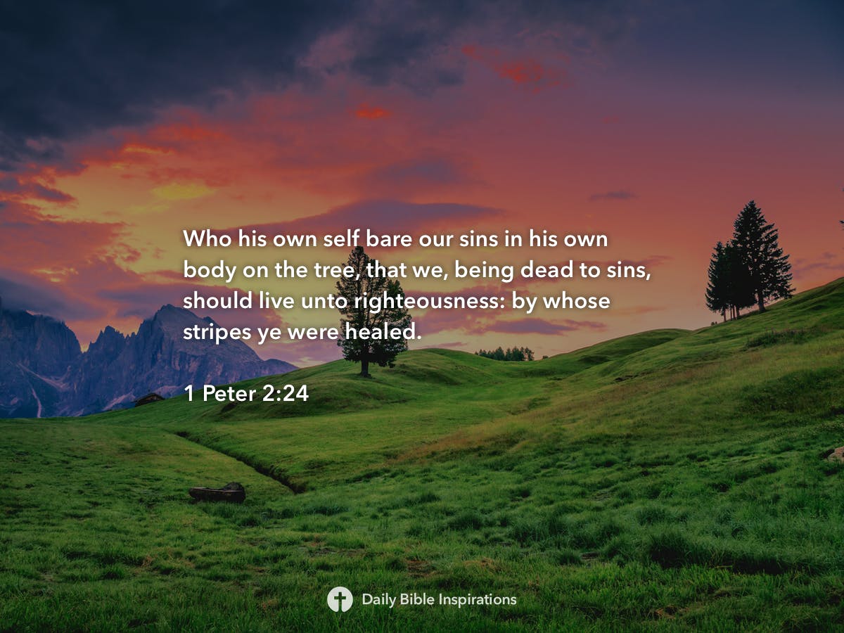 1-peter-2-24-daily-bible-inspirations