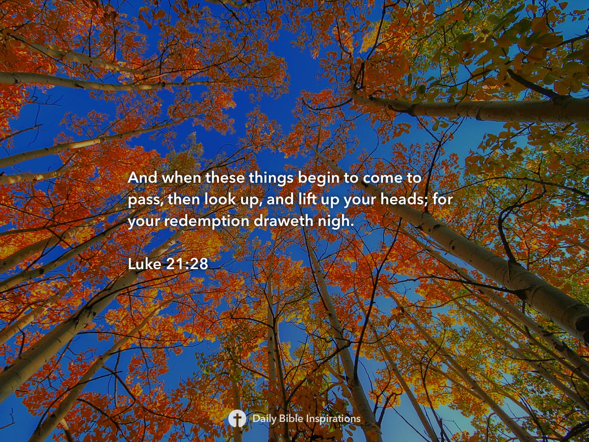 Luke 2128 Daily Bible Inspirations 