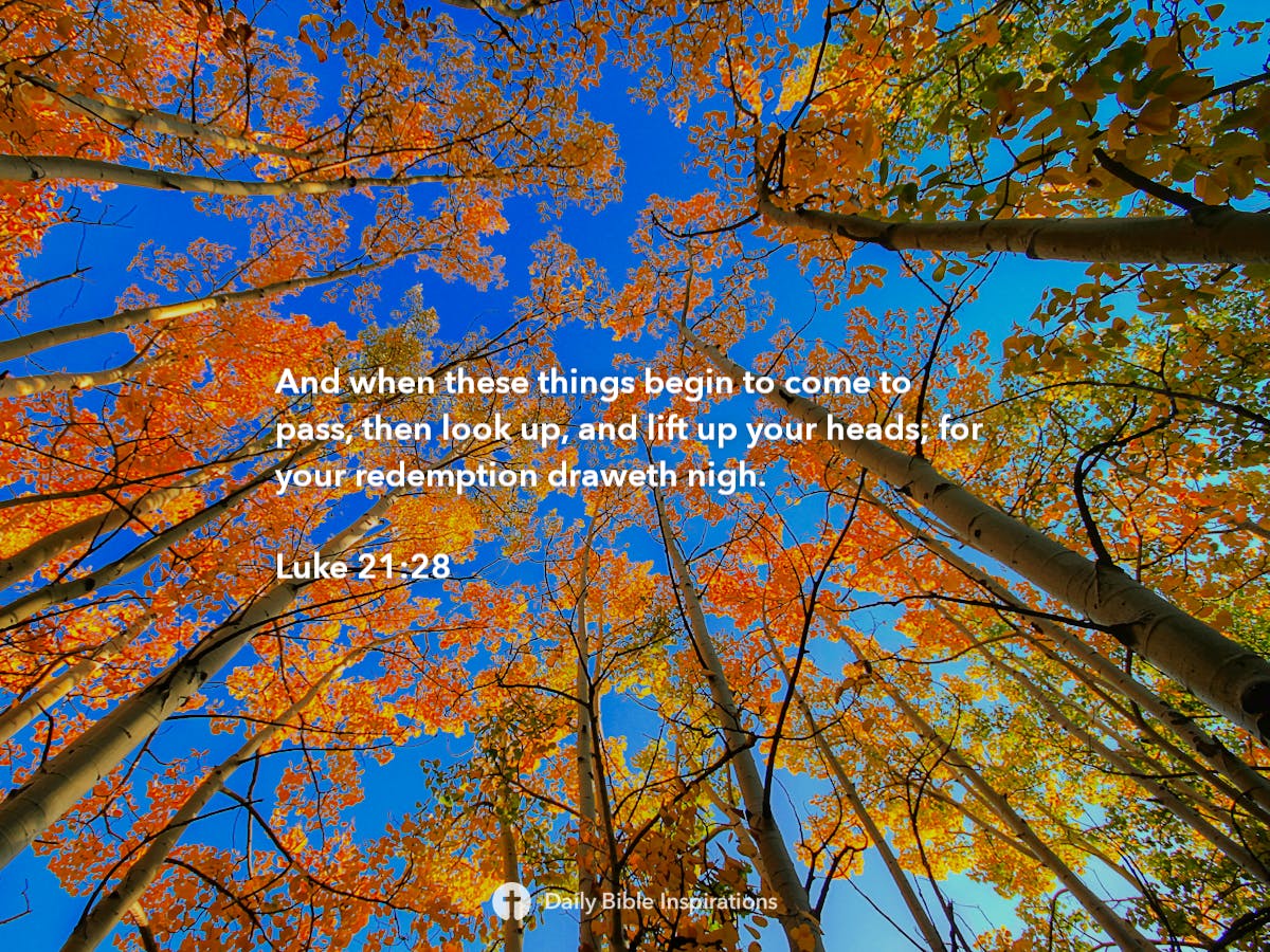 Luke 21:28 - Bible Inspirations